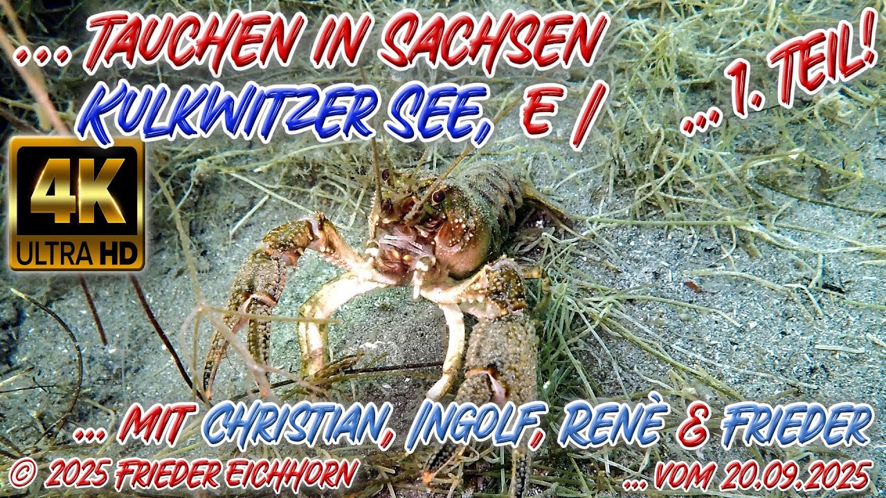 Tauchen in Sachsen, 🦂 Kulkwitzer See, E I 🐠 20. September 2025, 1. Teil!