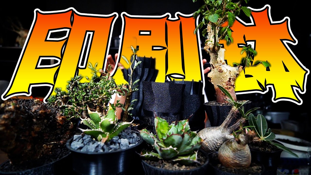 【植物沼】自分で作った大量の次世代鉢を紹介します【アガベ】【パキポディウム】【3Dプリンター鉢】