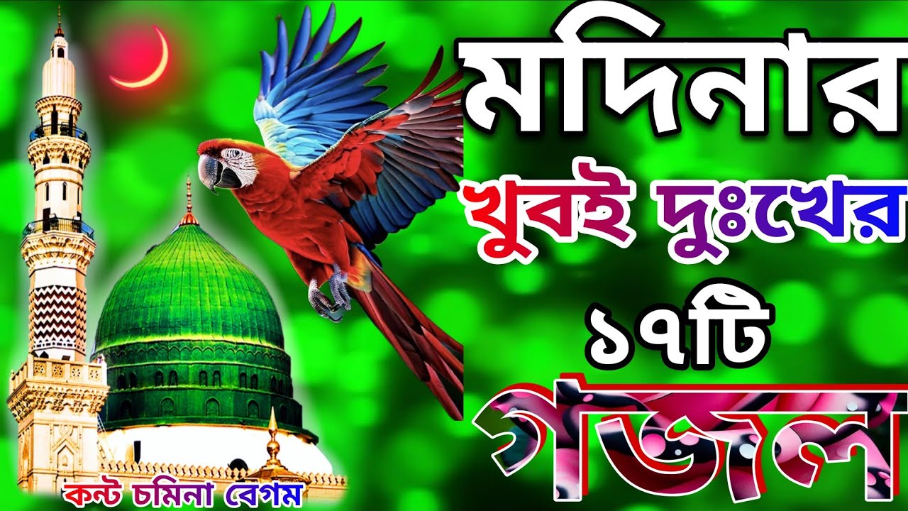 মদিনার খুবই দুঃখের প্রান উজাড় করা মায়াবী কণ্ঠে ১৭টি সেরা গজল // Somina Begum // hart taching song