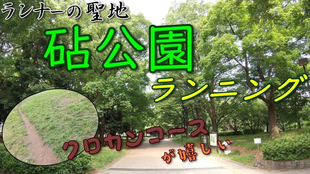 【砧公園ランニング】トップランナーや箱根駅伝常連校も練習で使用するクロカンコースがある砧公園をランニングしました！