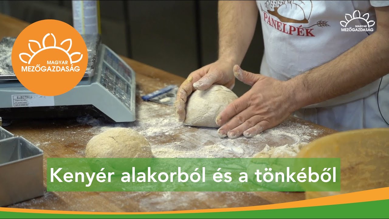 Süssünk kenyeret ősbúzából! | MMG