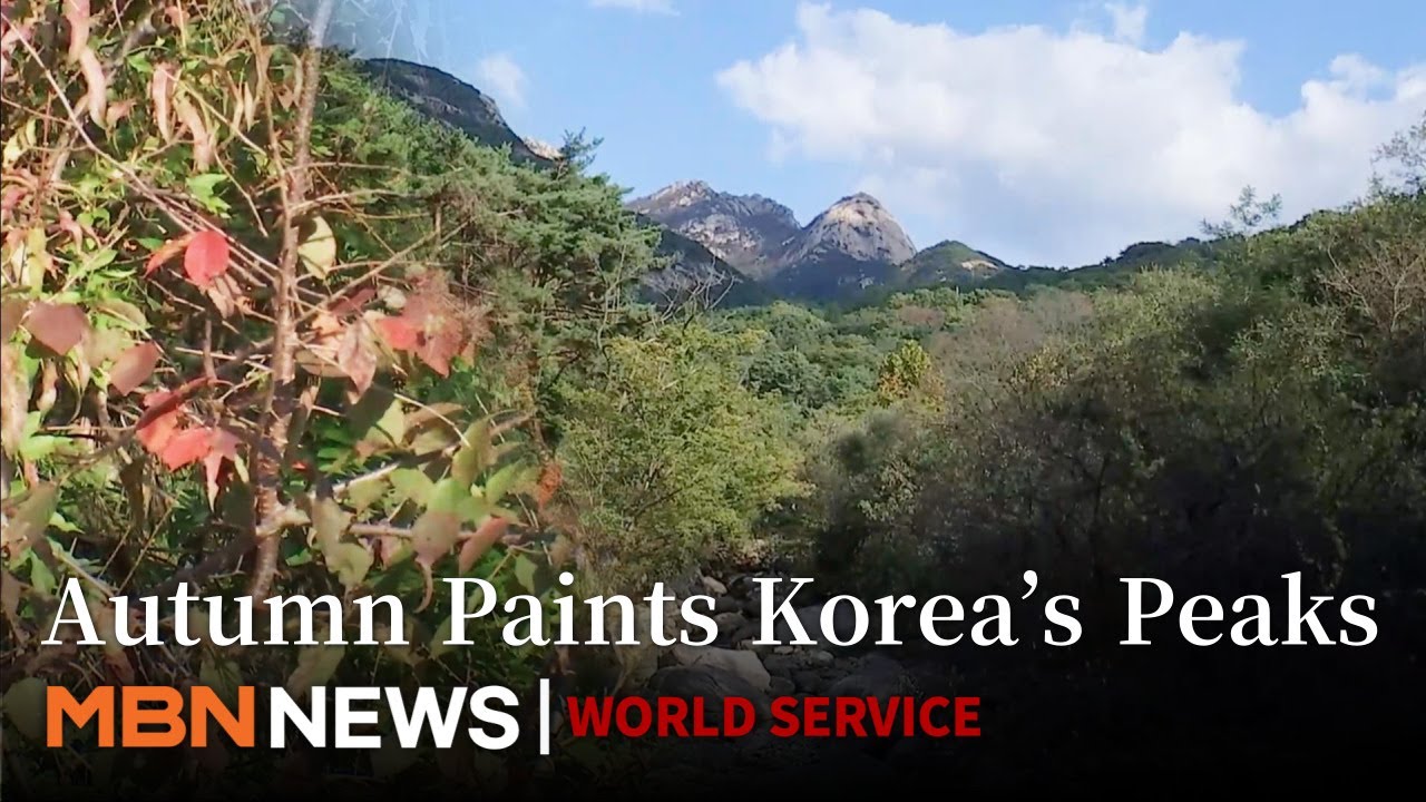 First Autumn Colors Appear on Mt. Bukhansan, Peak Foliage Expected Next Week