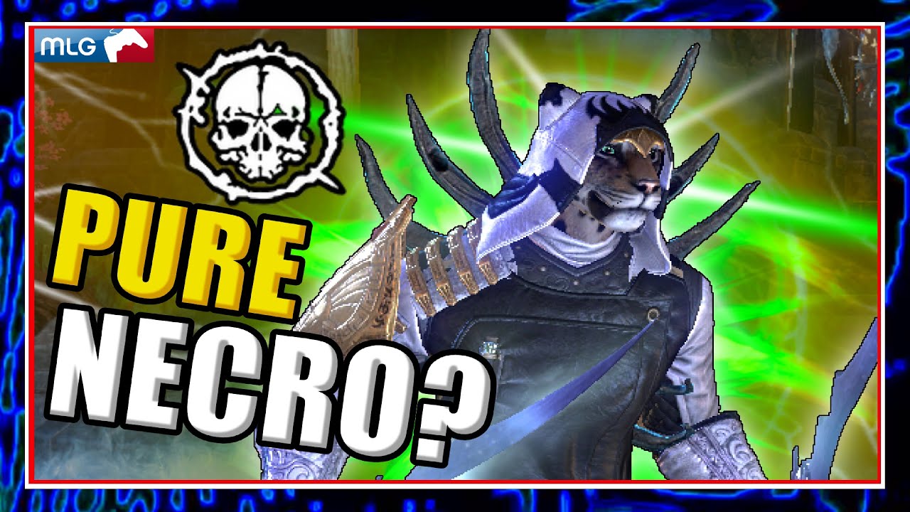 Pure Necro vs META Builds😳 Ft 