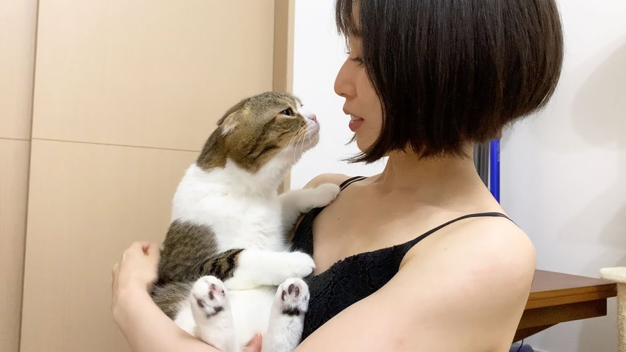 🐈元気になったママと遊びたい甘えん坊猫