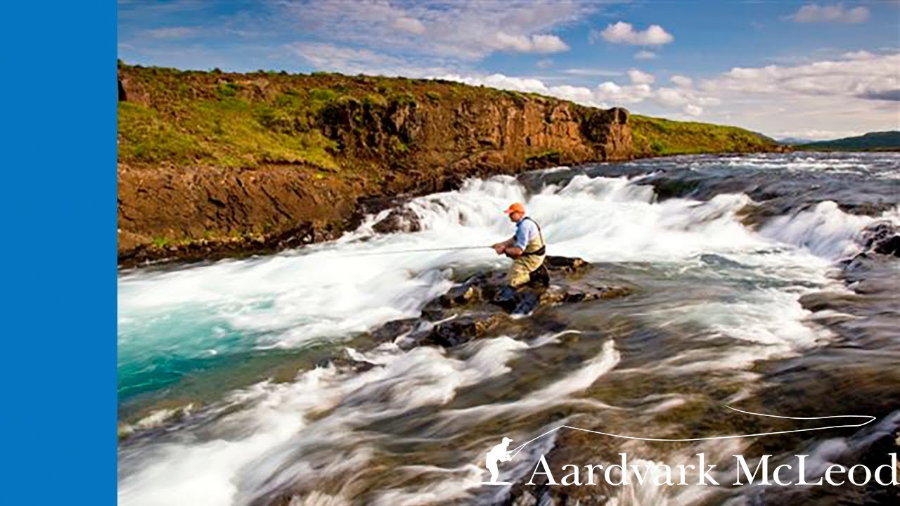 Fly Fishing for Atlantic Salmon on the Langa River in Iceland
