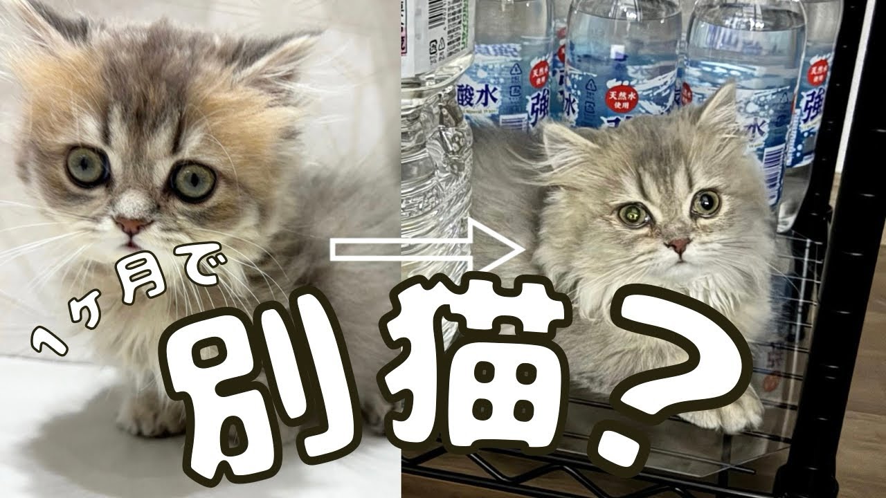 1ヶ月前には想像できなかった姿に..