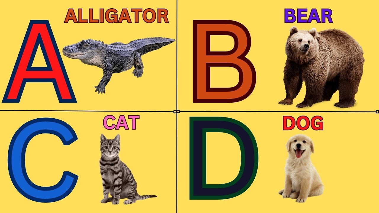 abc animals/animal alphabet/a to z animals/animals a to z