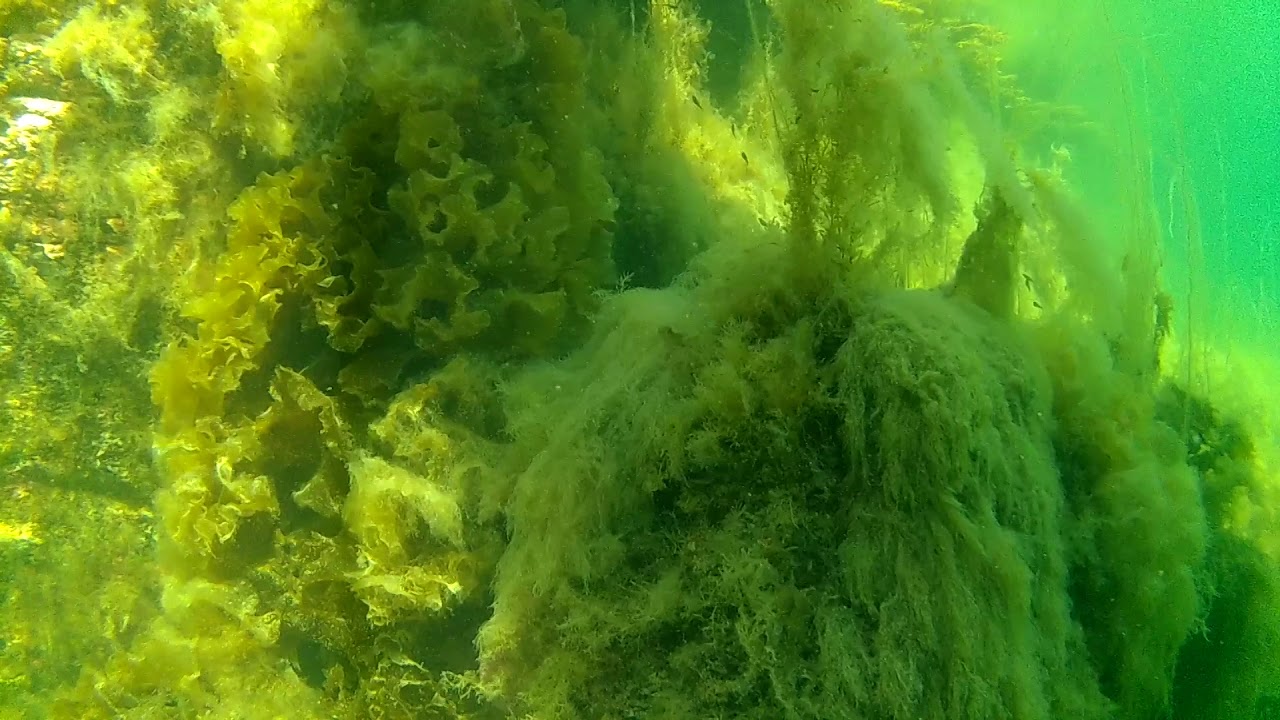 onderwater noorwegen