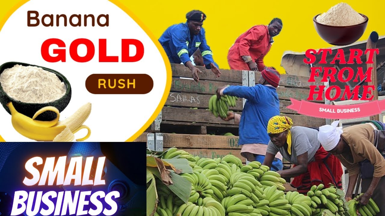 How to Start Banana Powder Business in India | Import Or Export Business, Small Business Ideas
