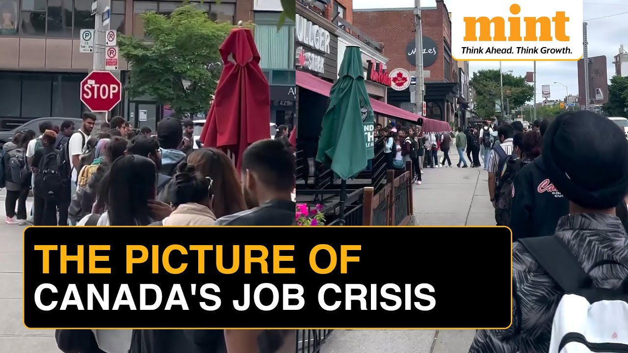 Viral Video: Canada Job Crisis | Foreign Students Lining Up At Tim Hortons For Jobs