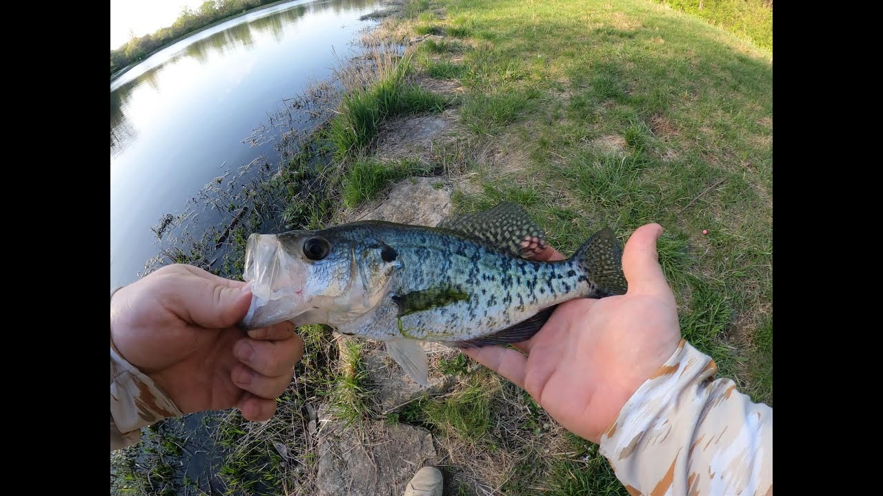SECRET LAKE PT 2  :  CRAPPIE ON THE FLY ROD