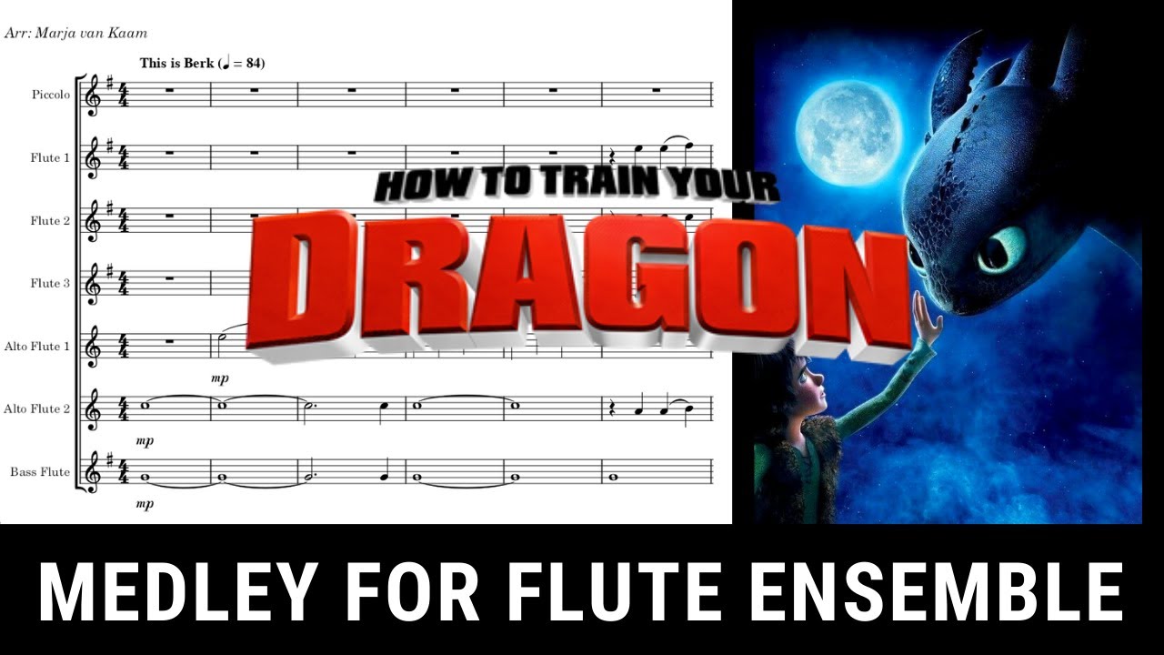 How To Train Your Dragon MEDLEY for Flute Ensemble