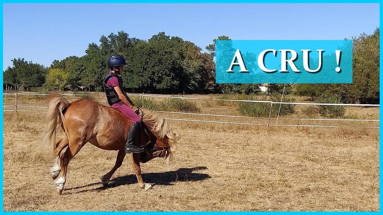 MISE EN SELLE A CRU ! - C'est vraiment pas évident au galop...