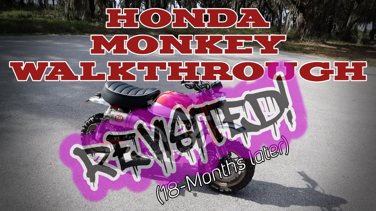 Honda Monkey Walkaround REVISITED! The Mods, The Likes, The Dislikes. INFO OVERLOAD!!