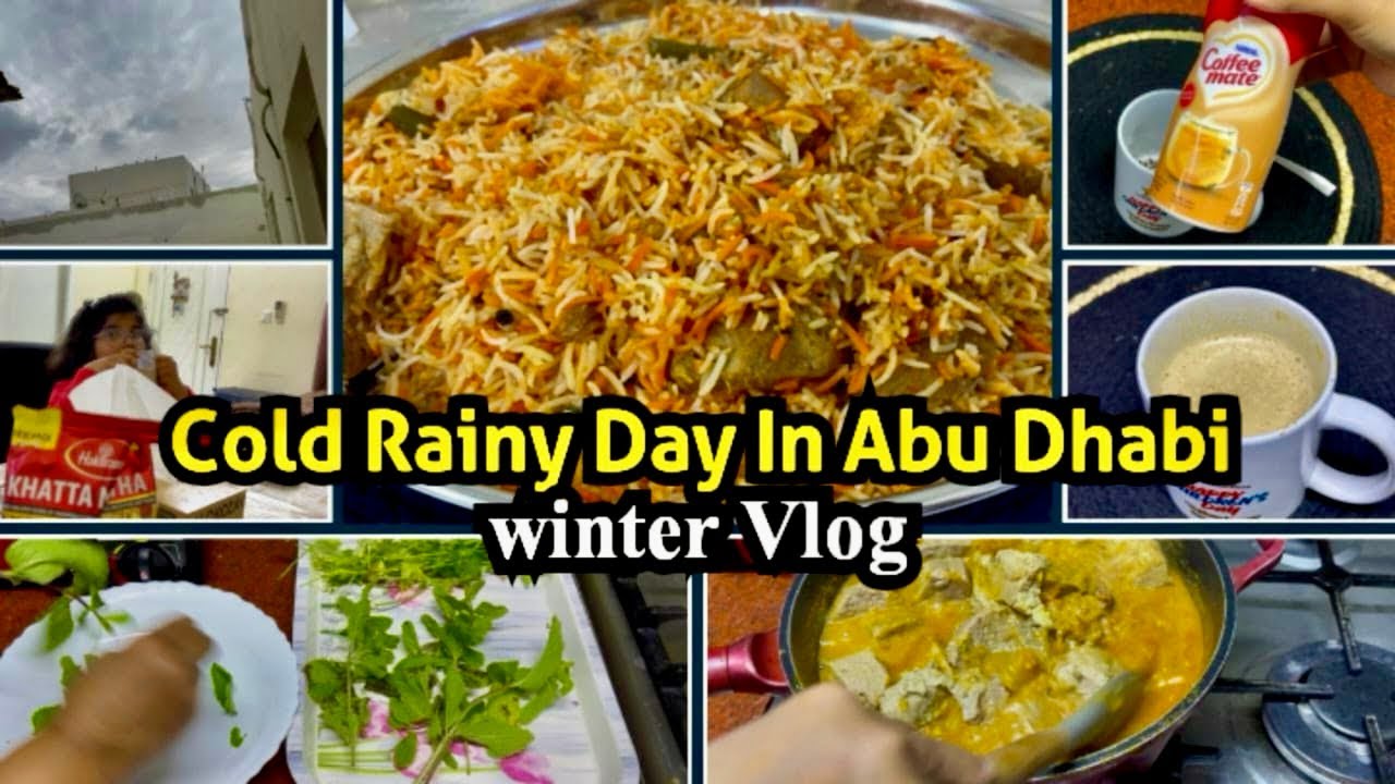 Cold Rainy Day in Abu Dhabi 🌧️❄️ | Cozy Winter Vlog & Homemade Beef Biryani 