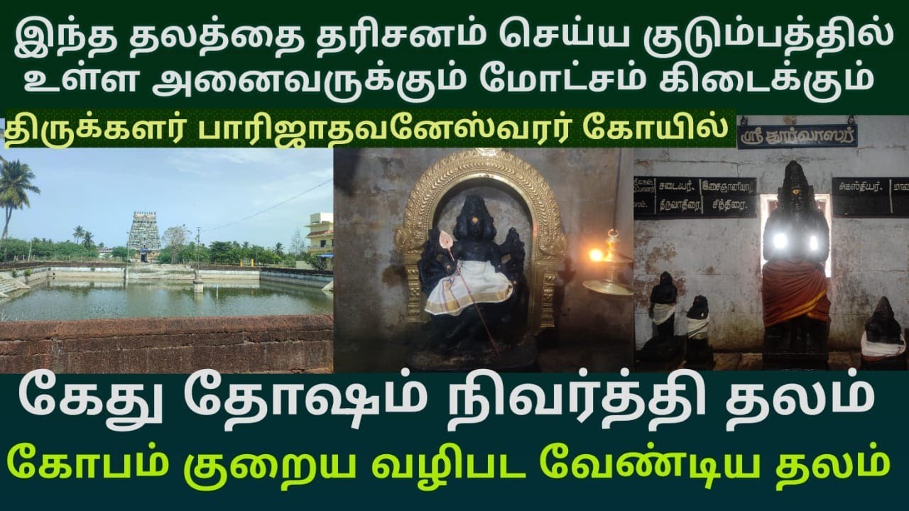 குடும்ப உறுப்பினர் அனைவருக்கும் மோட்சம் வழங்கும் திருக்களர் பாரிஜாதவனேஸ்வரர் | கோபம் குறைய வழிபடலாம்