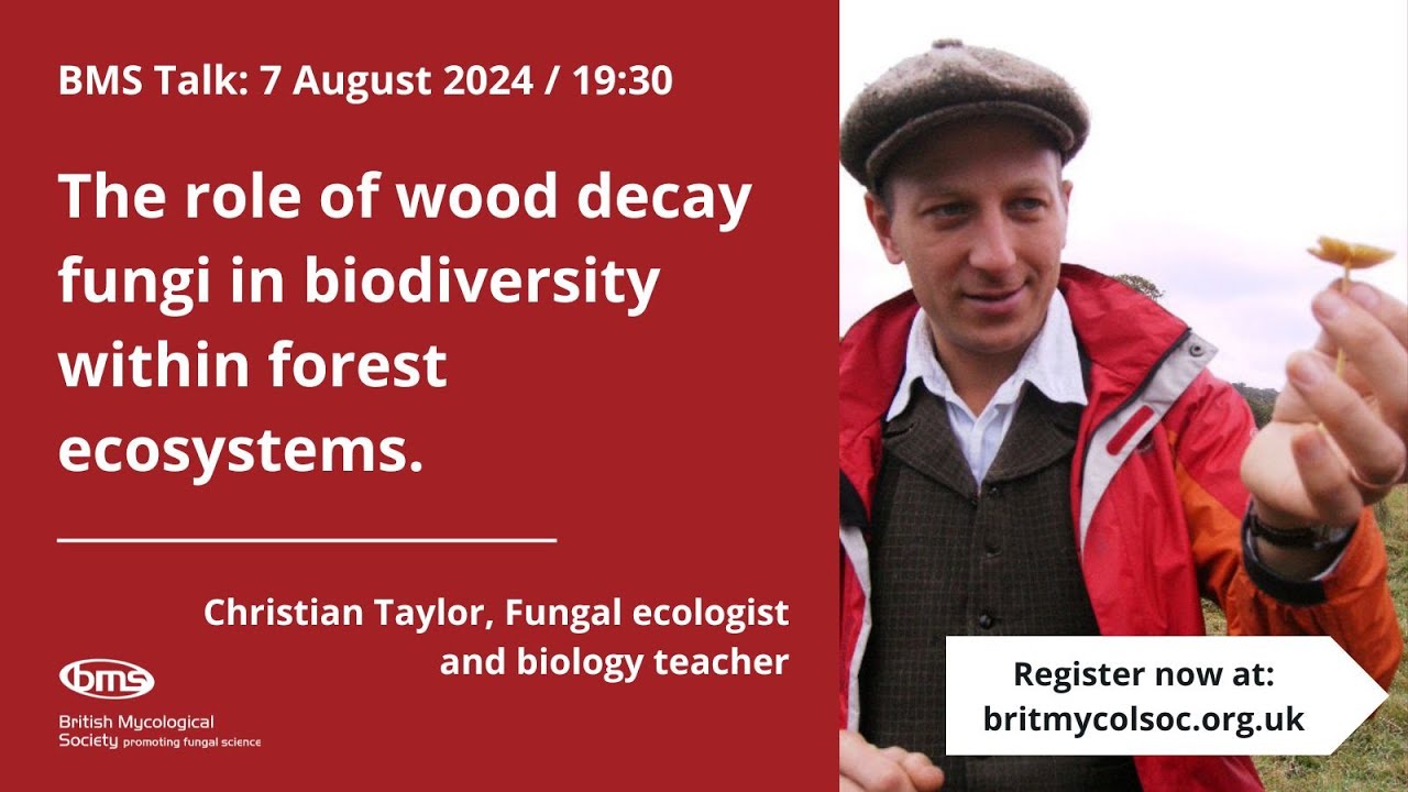 BMS Talk: Christian Taylor - The role of wood decay fungi in biodiversity within forest ecosystems
