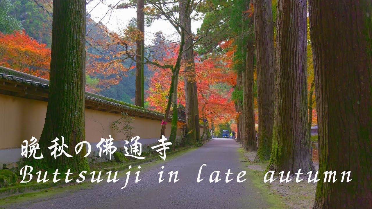 8KHDR 広島県の紅葉の名所、三原市の佛通寺　Buttsuuji , a famous spot for viewing autumn leaves in Hiroshima Prefecture