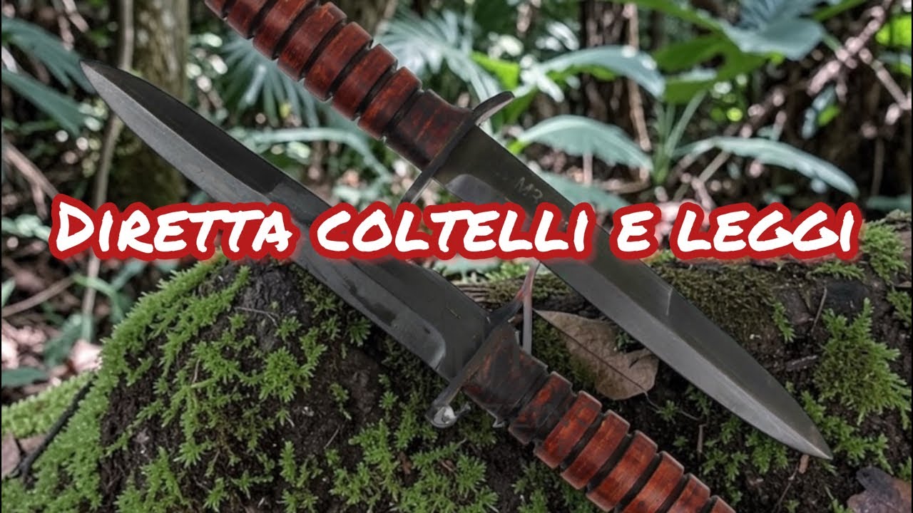 Coltelli e leggi