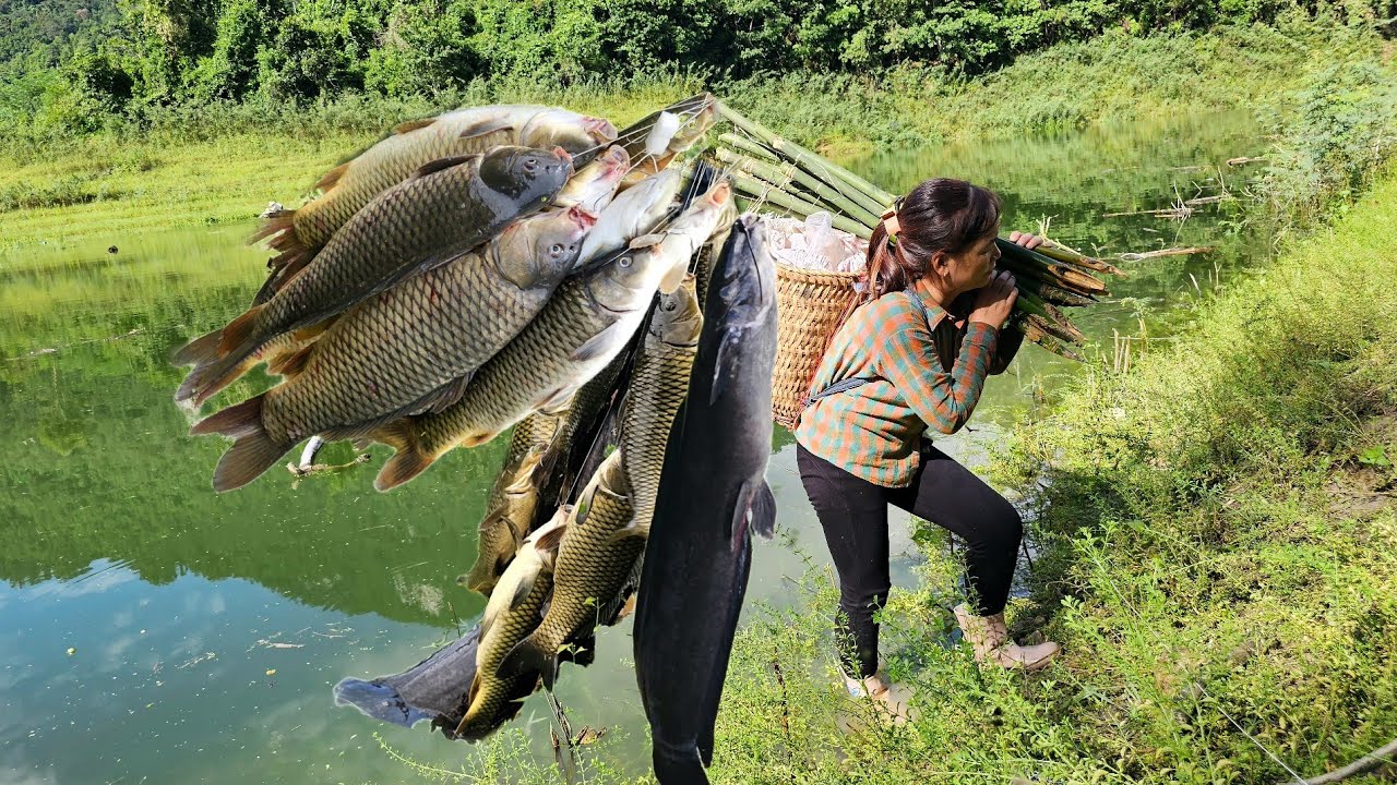 Luyen's ancient fishing techniques helped him catch a large school of fish to sell at the market.