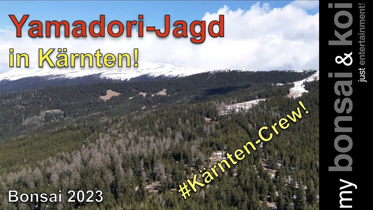 Bonsai 2023-27 - Yamadori-Jagd in Kärnten - Das Original - #KärntenCrew