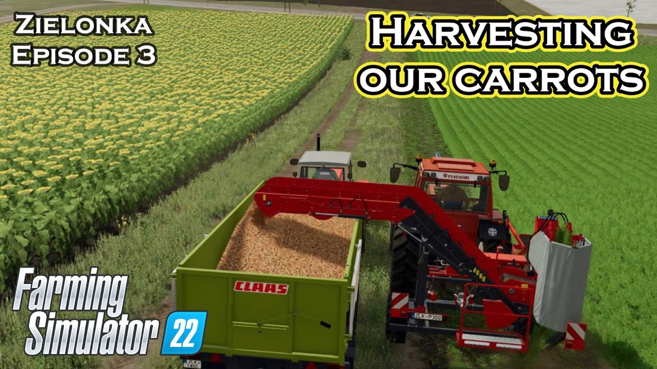 HARVESTING OUR CARROTS - FS22 - Zielonka - Let's Play Episode 3