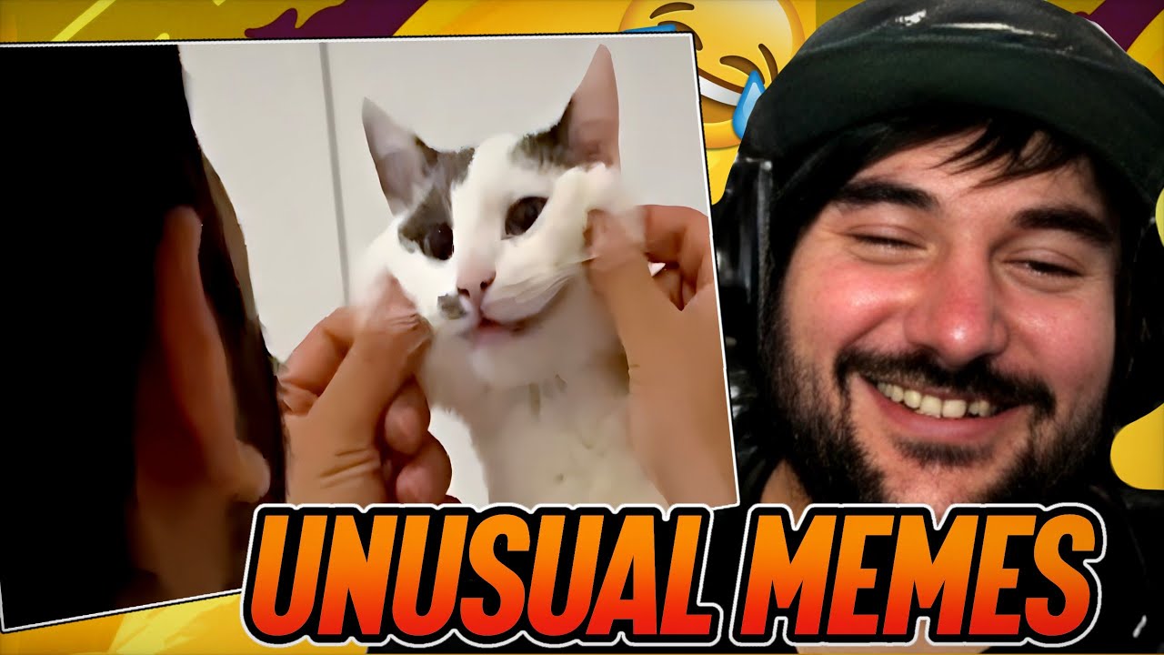 PUTUPAU REACCIONA a UNUSUAL MEMES #5