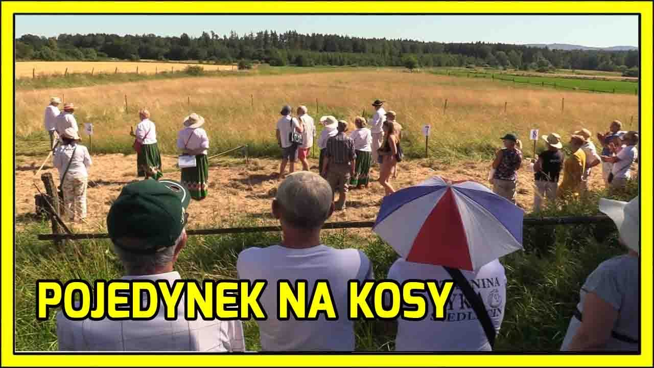 MUCH&Oacute;W. Pojedynek na kosy