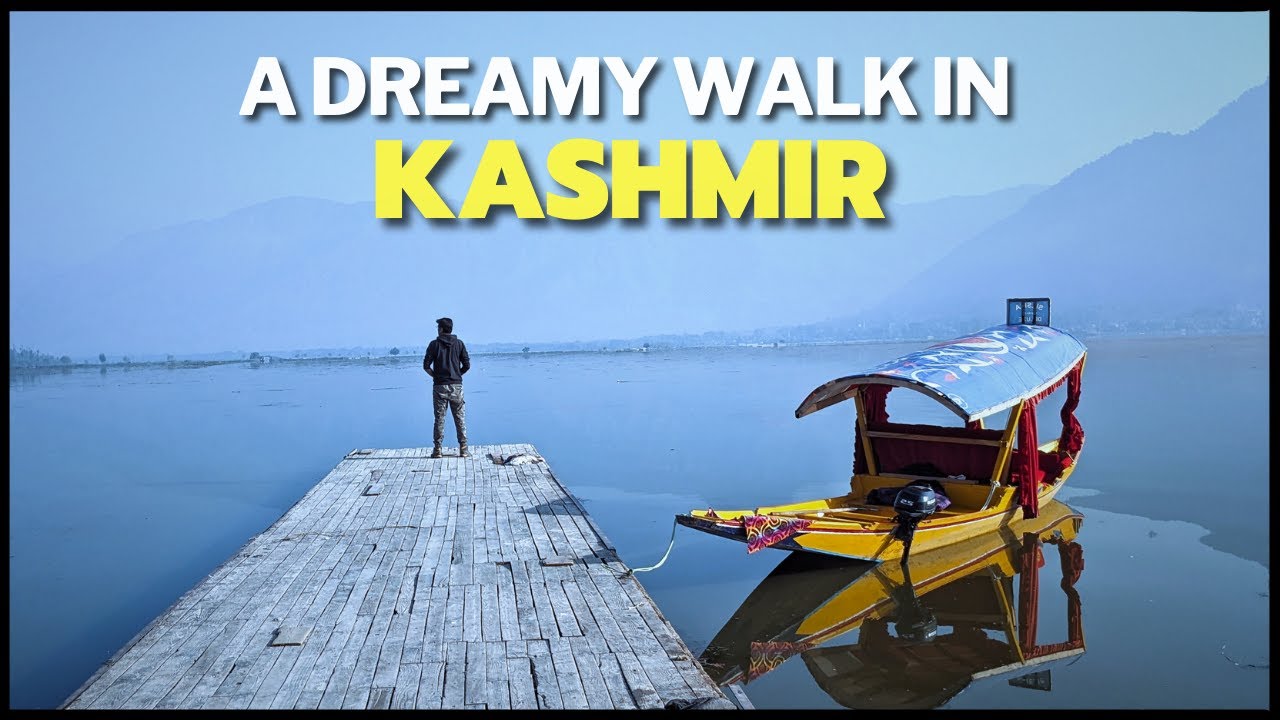 Most Cinematic Dal Lake Video | Nature ASMR