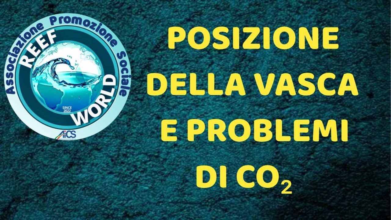 Posizione della vasca e problemi di Co2