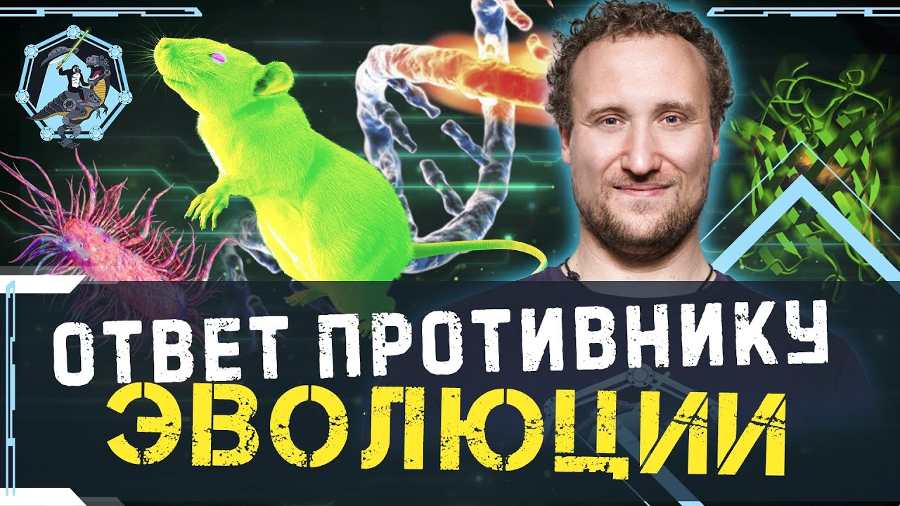 Ответ отрицателю эволюции. Михаил Никитин. Ученые против мифов Z-16