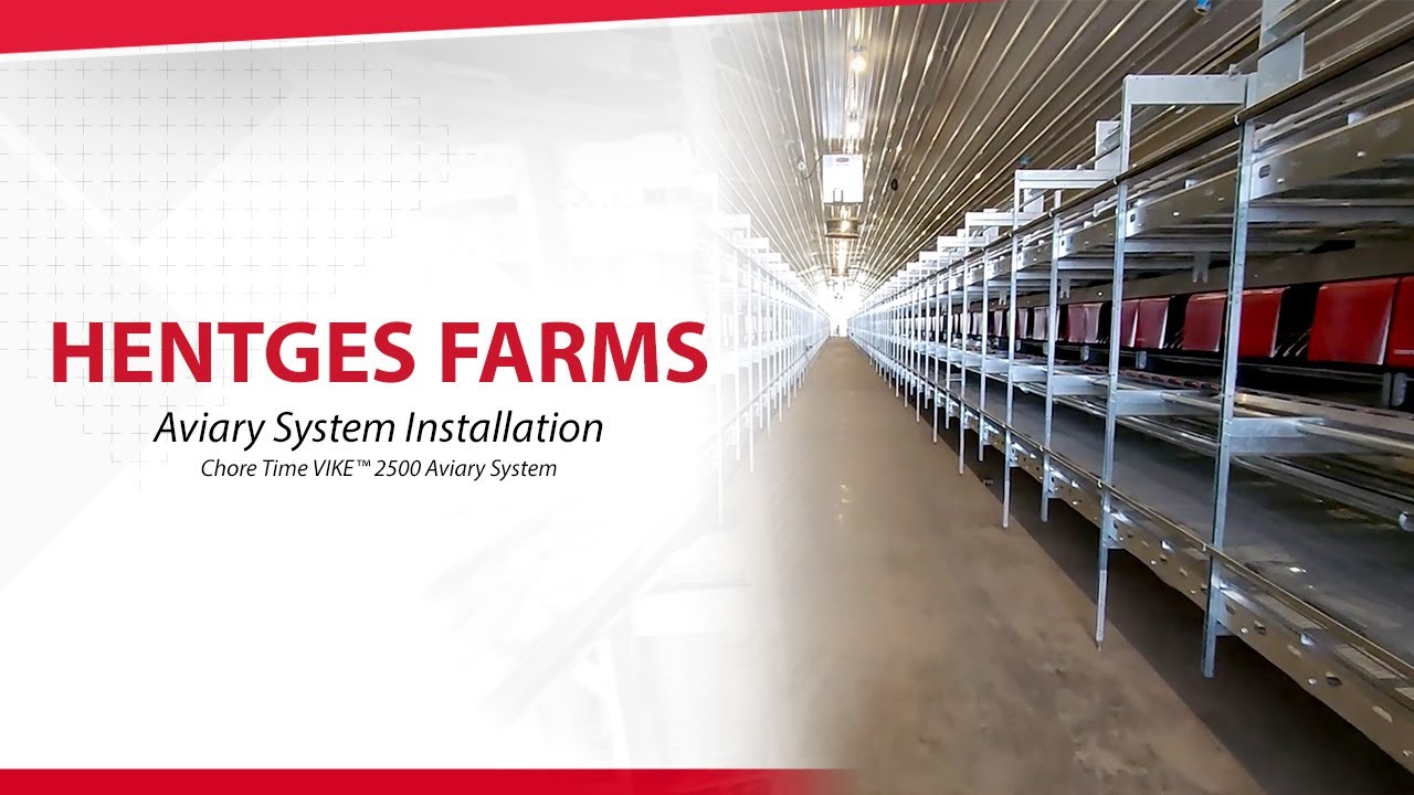 Chore Time VIKE™ 2500 Aviary System - Hentges Farms Cage-Free Aviary System Installation