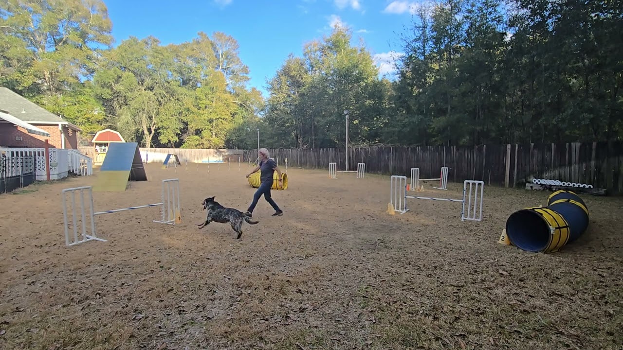 Agility Winter Wk 4