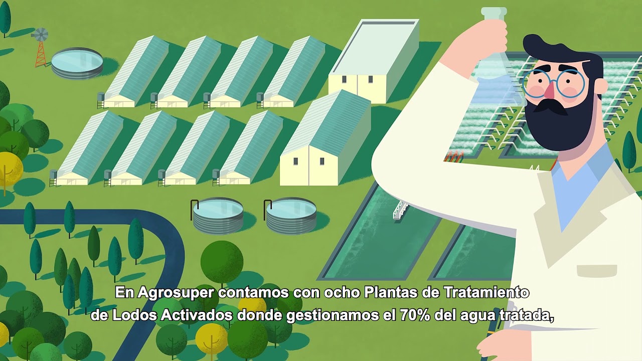 Agrosuper  - Proceso Purín Cerdos - Español