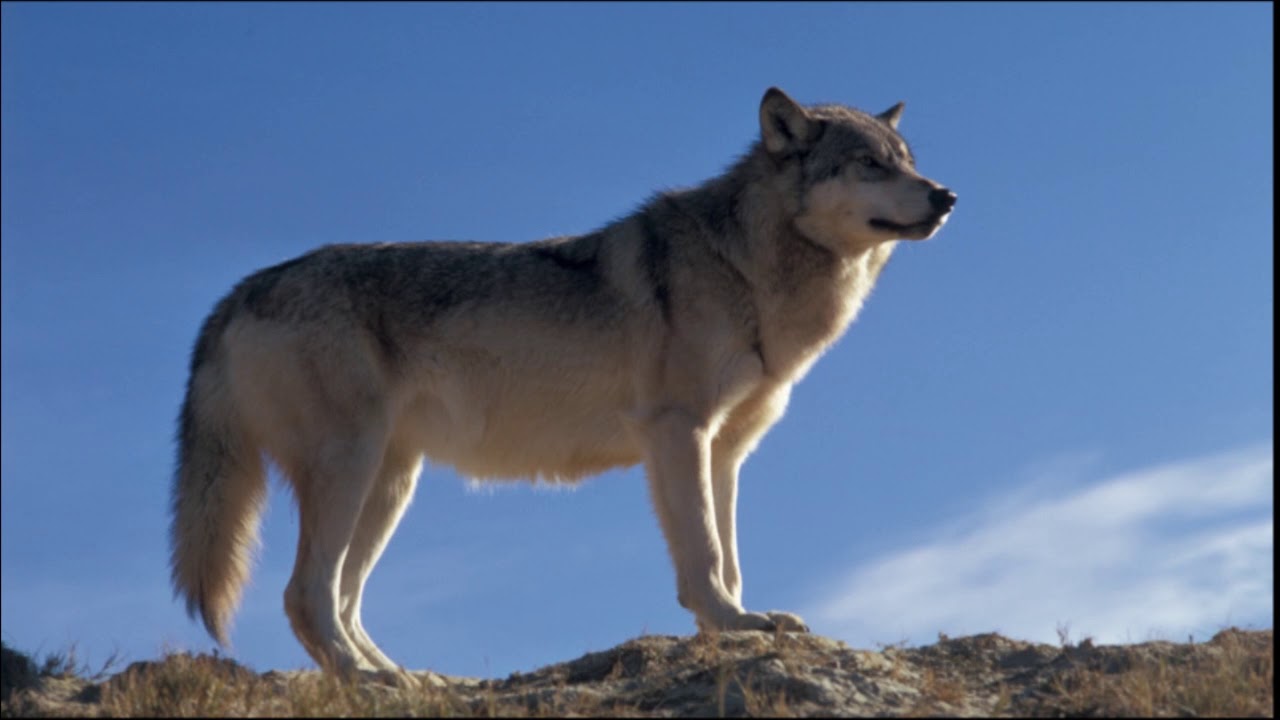 Lakota Emergence Story