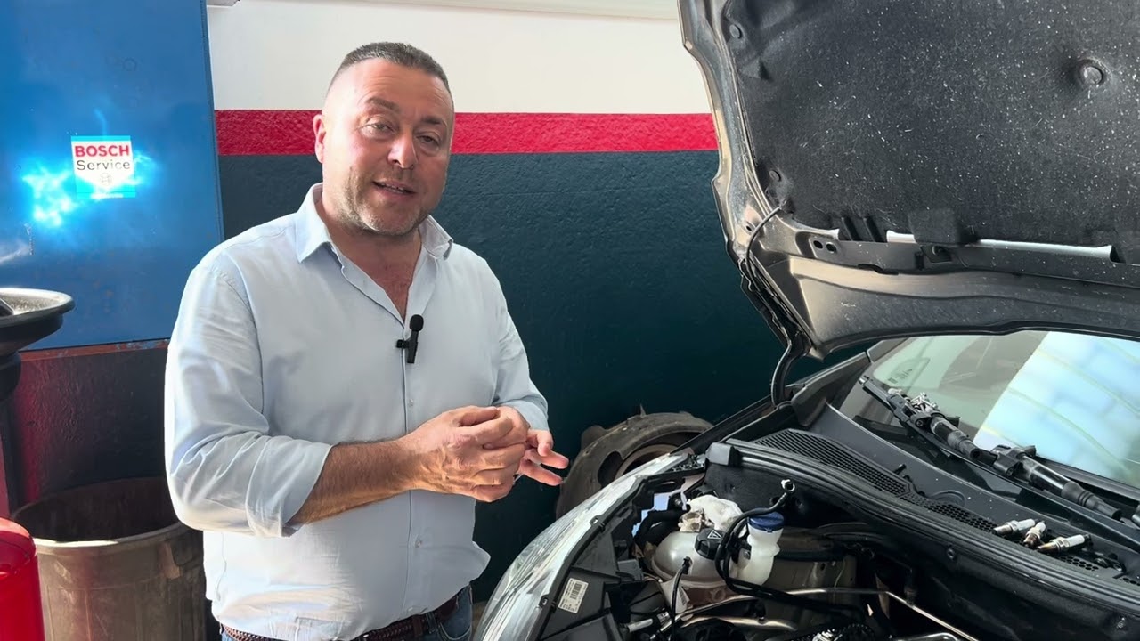 Sostituzione cinghia distribuzione a bagno d'olio motore 3 cilindri Peugeot, info di servizio.