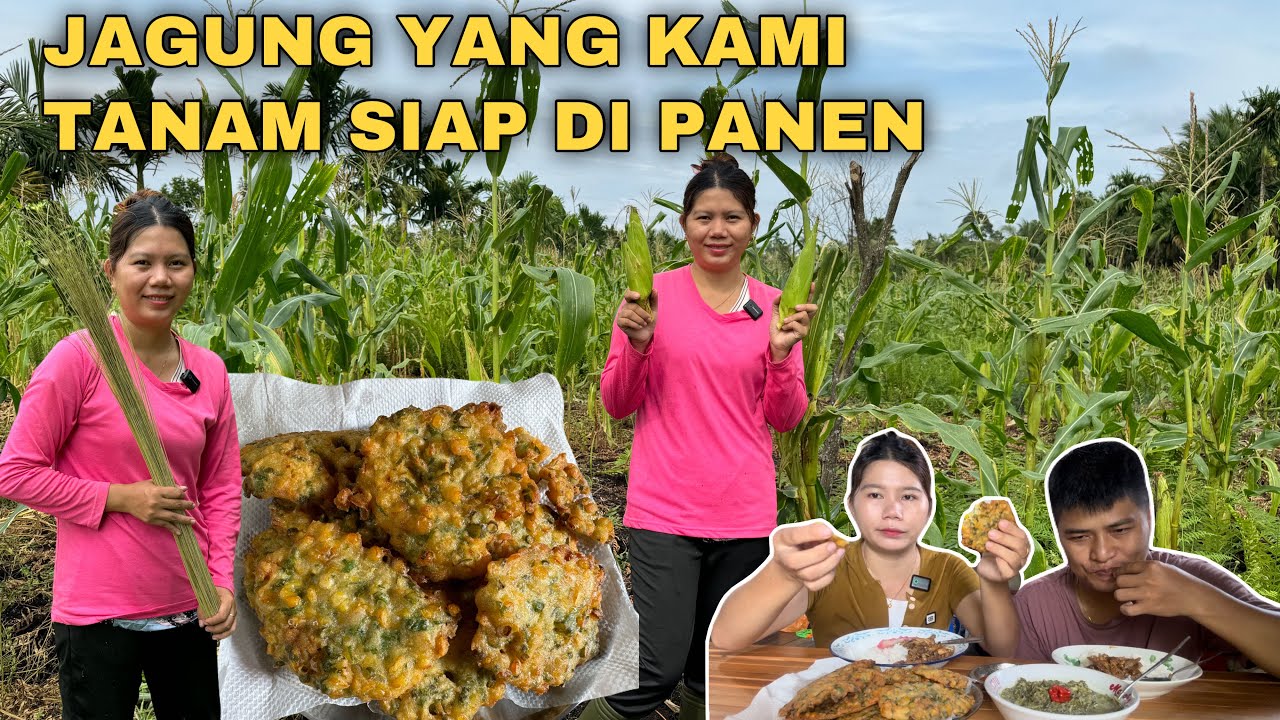 BIKIN BAKWAN JAGUNG KAMPUNG,DAN MASAK DAUN SINGKONG TUMBUK