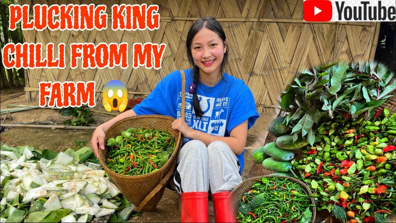 Plucking king Chillies from my Farm☘️| Nature | Roasting | veggies | family | Arunachal Pradesh🍃