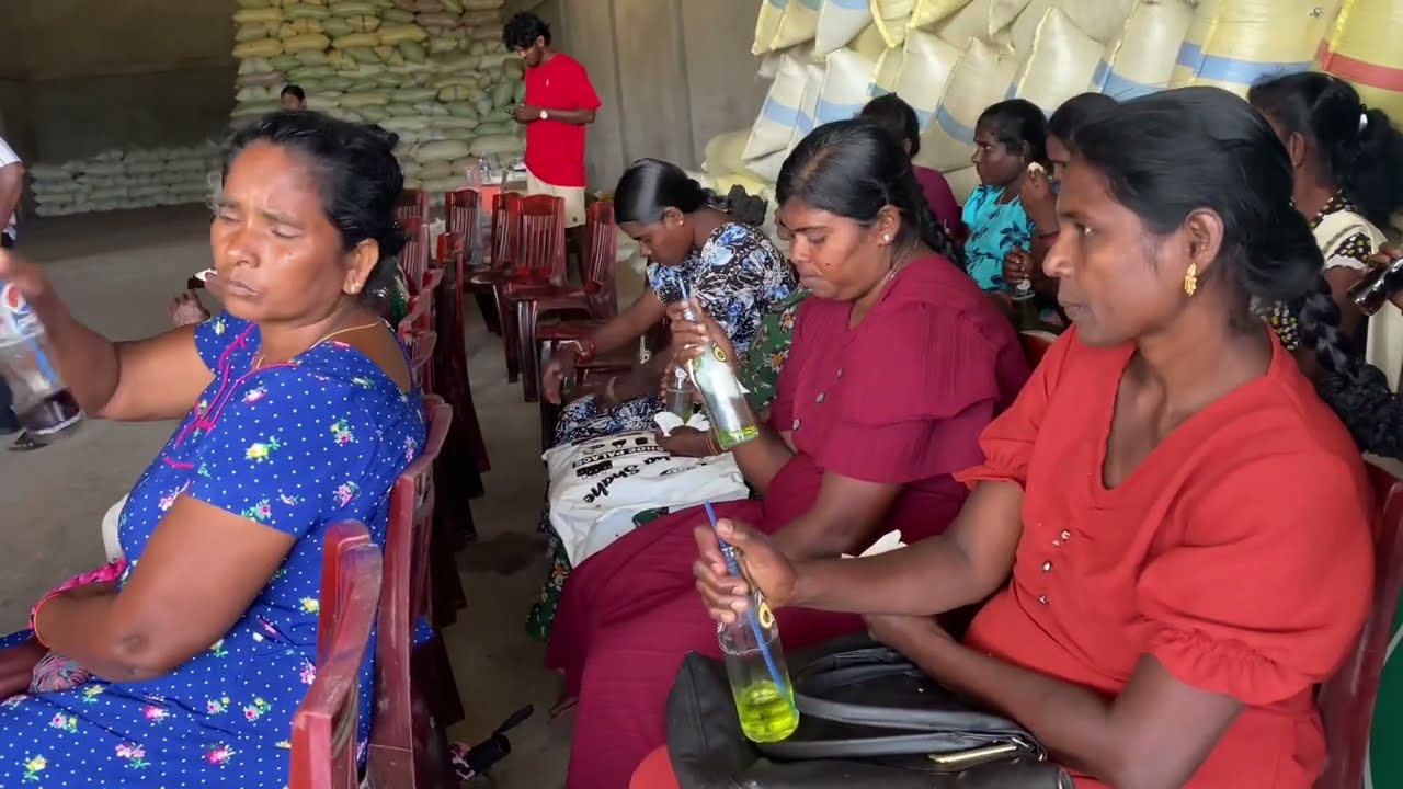 மன்னார்