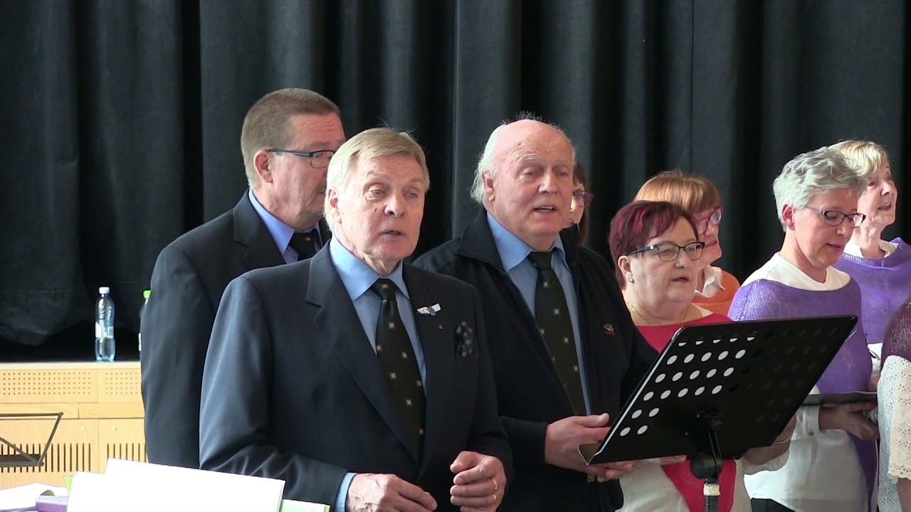 Palokan viihdelaulajat - Nuoruustango