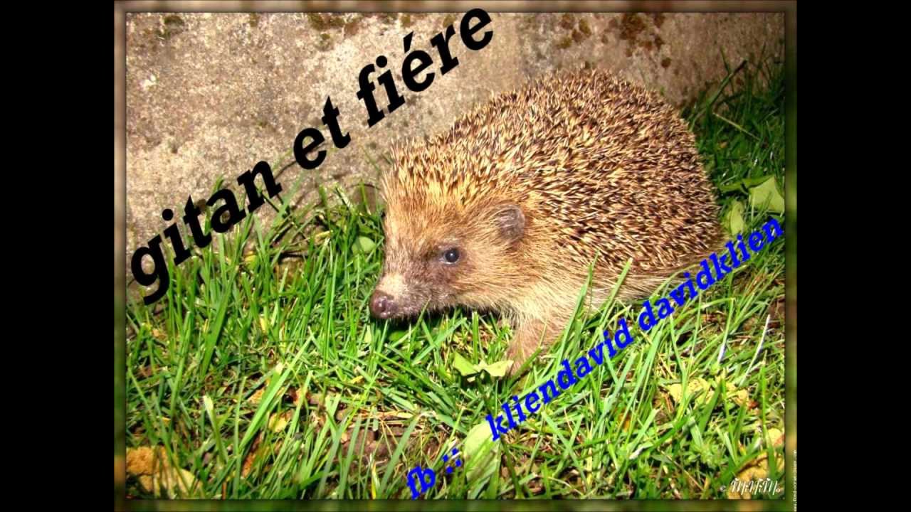 gitan33.wmv