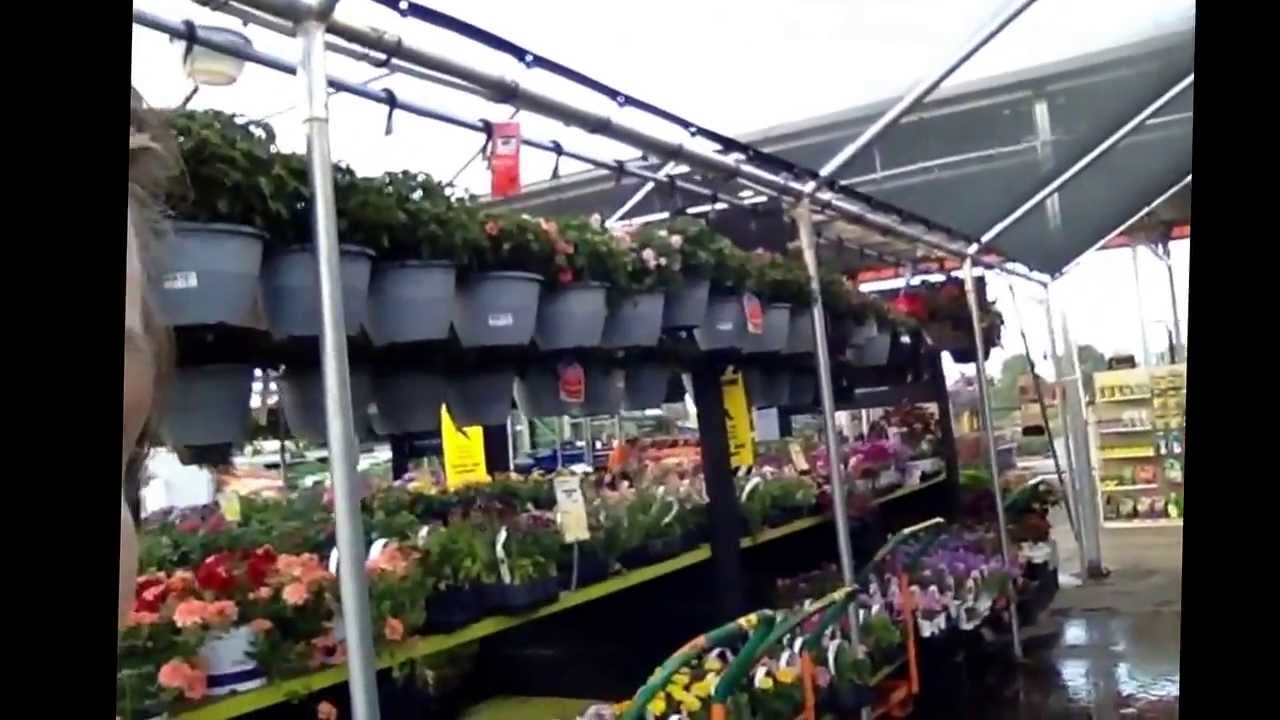 Here's where I work! Home Depot garden center!