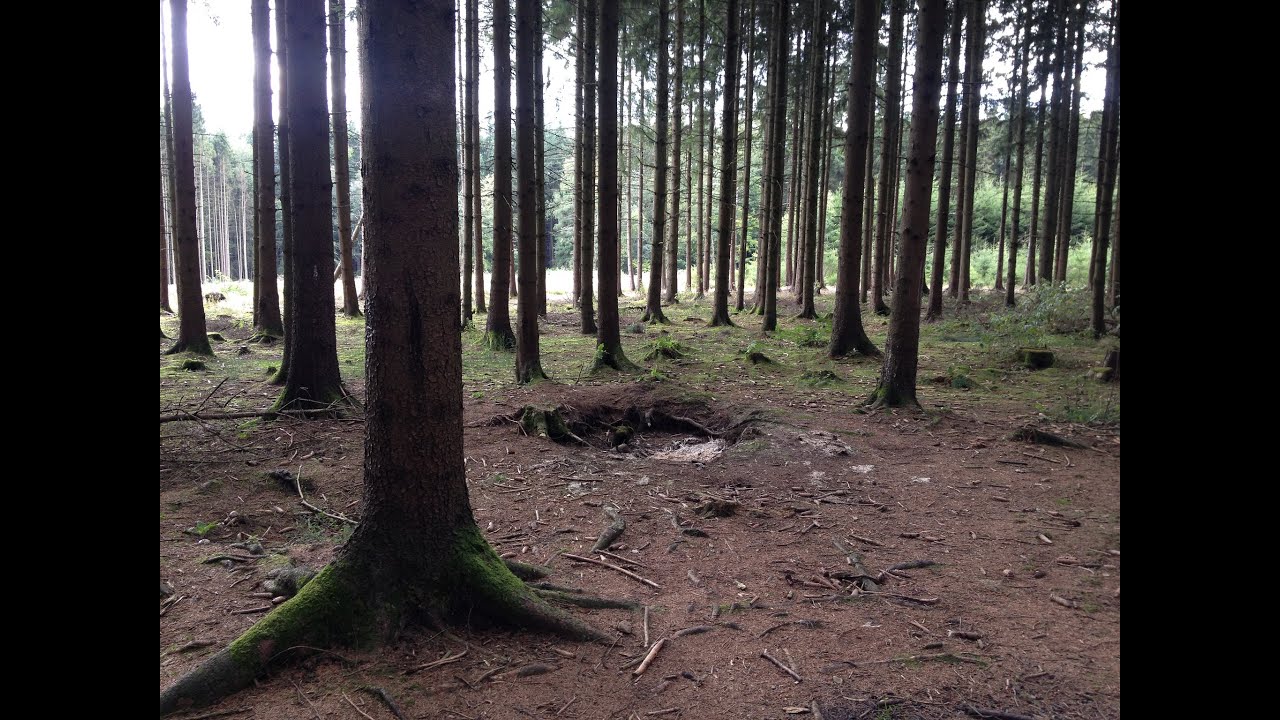 Easy Company Foxholes in Bastogne, Belgium & The War Museum