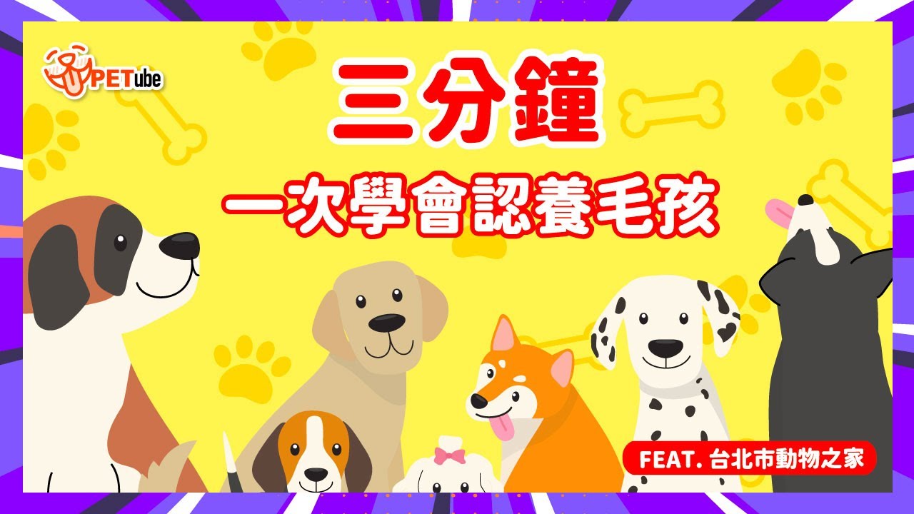 一次學會認養毛孩！🐾Feat 台北市動物之家 【哈寵小學堂】｜#哈寵PETube 第271集