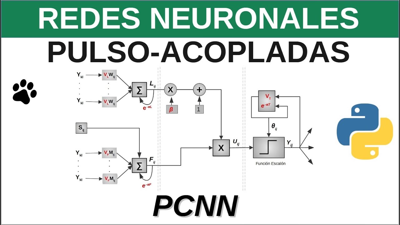 LAS REDES NEURONALES PULSO-ACOPLADAS (PCNN) | IMPLEMENTACIÓN CON PYTHON | SEGMENTACIÓN