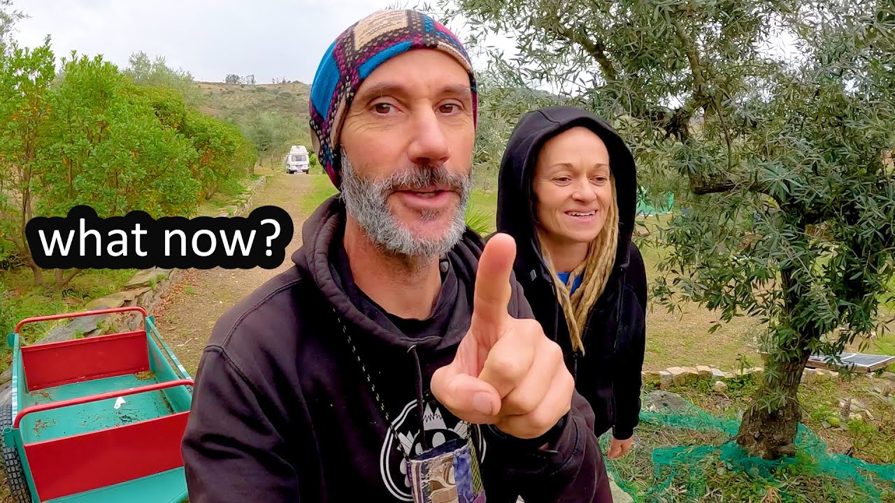 Пара из VanLife покупает ферму (в Португалии, без подключения к электросети) &mdash; сбор оливок