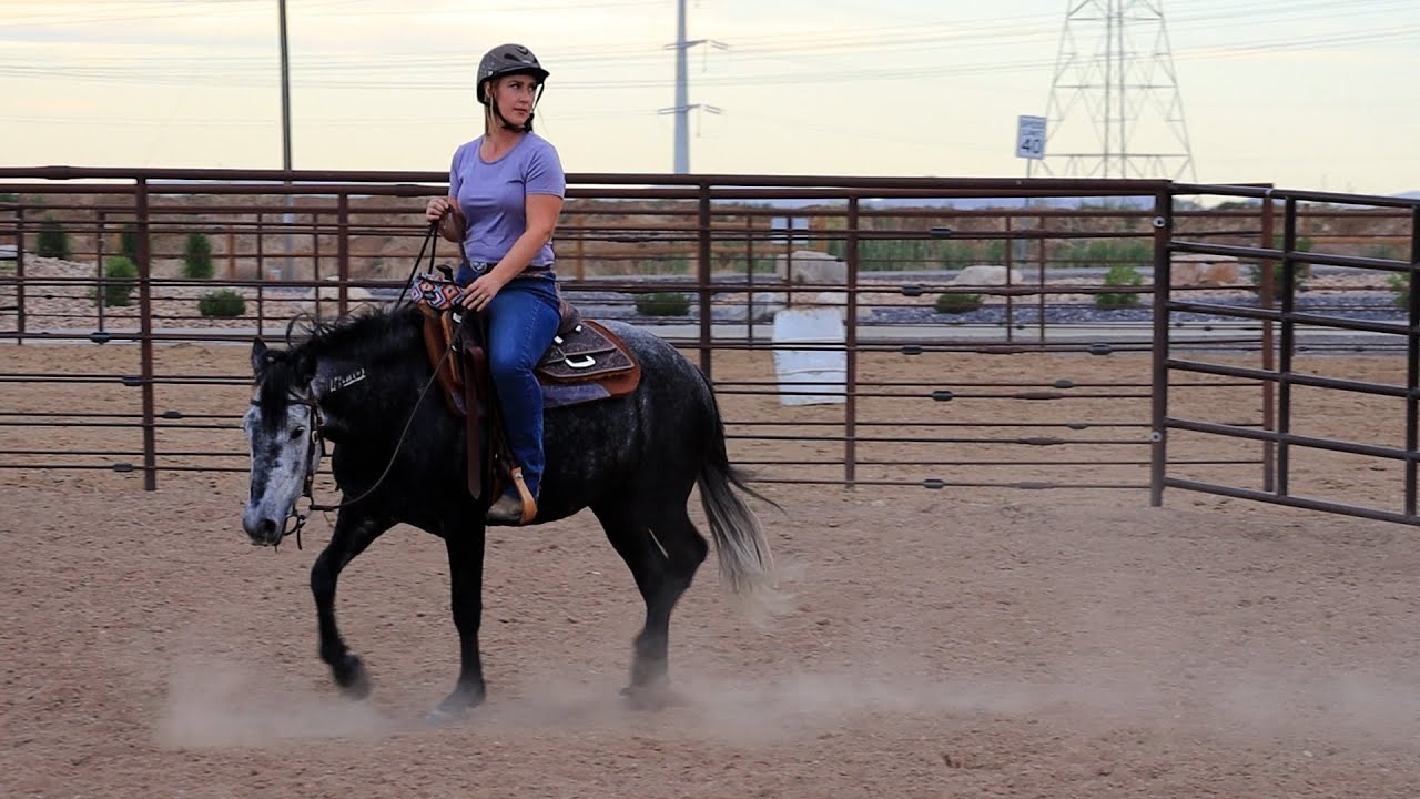 Bras for Horseback Riding: Review of Panache Women's Underwired Sports Bra- My FAVORITE!!
