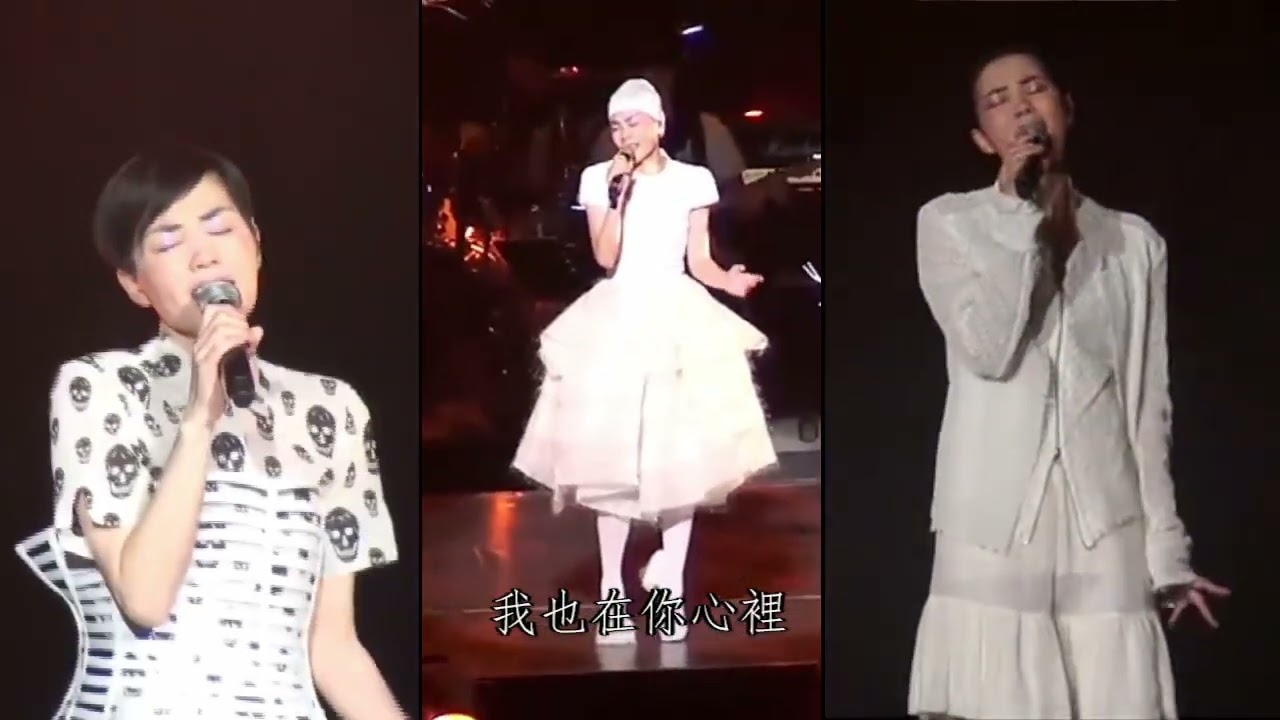 【巡唱】王菲 Faye Wong - 你在我心中 Live 2010-12 (完整版)