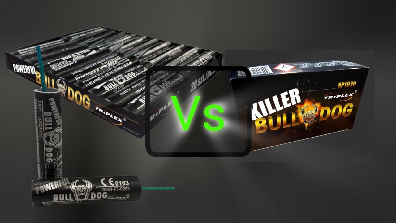 Triplex pojedynek - Powerfull Buldog VS Killer Buldog