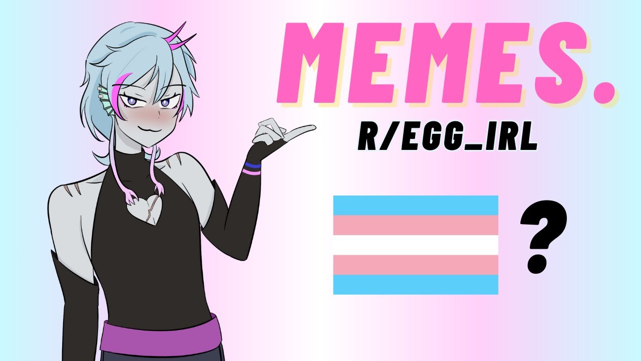 r/egg_irl &mdash; The TOP Transgender Memes Of All Time